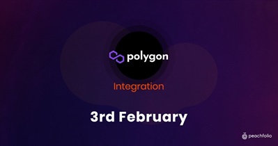 Polygon Integration