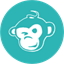 Aktionariat Green Monkey Club AG Tokenized Shares