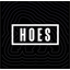 ApeChainHOES