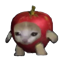 Apple Cat