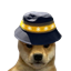 BNB DOGE
