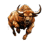 Bull Run Solana