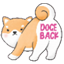 Doge Back