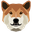 DogeCash