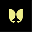 Flying Tulip