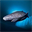 Greenland Shark