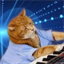 Keyboard Cat (Base)
