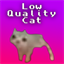 Low Quality Cat