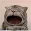 maow