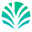 Palm Economy
