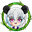 Panda Girl