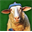 Sheep Wif Hat