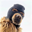 Ski Mask Dog
