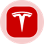 Tesla (Ondo Tokenized Stock)