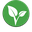 Vitae