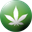 Weed