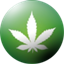 Weed