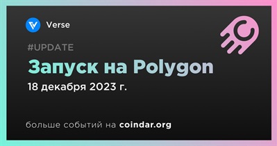 Verse объявляет о запуске на Polygon 18 декабря