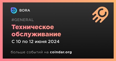 BORA проведет техническое обслуживание 10 июня