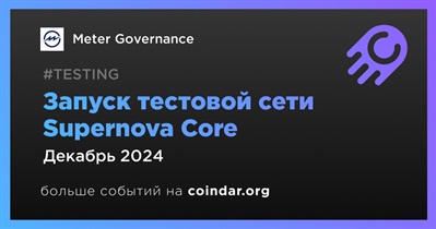 Meter Governance запустит тестовую сеть в декабре