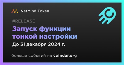 NetMind запустит функцию тонкой настройки моделей в четвертом квартале