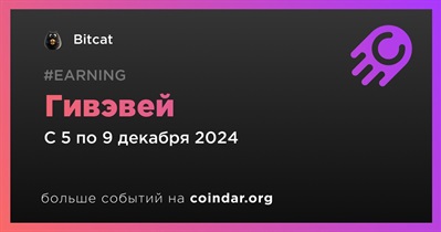 Bitcat проводит гивэвей