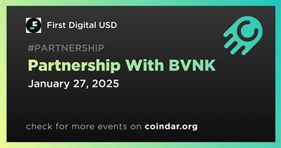 First Digital USD Partners With BVNK