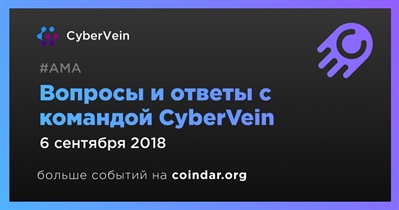 Вопросы и ответы с командой CyberVein