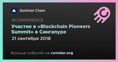 Участие в «Blockchain Pioneers Summit» в Сингапуре