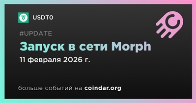 USDTO запускается в сети Morph