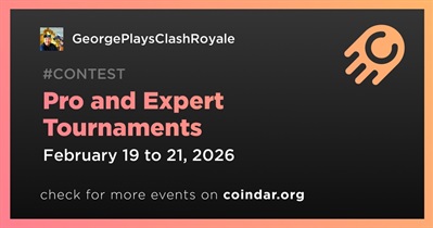 Torneos profesionales y expertos