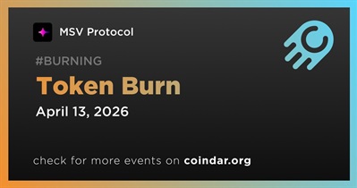 MSV Protocol Burned Tokens on April 13th