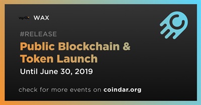 Public Blockchain & Token Launch