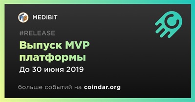 Выпуск MVP платформы