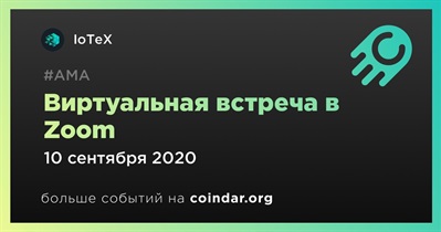 Виртуальная встреча в Zoom