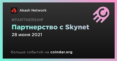 Партнерство с Skynet