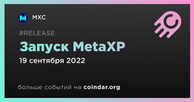 Запуск MetaXP