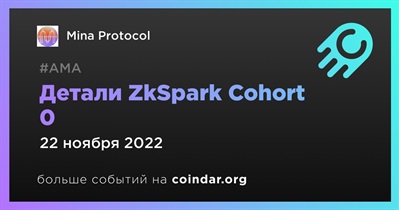 Детали ZkSpark Cohort 0