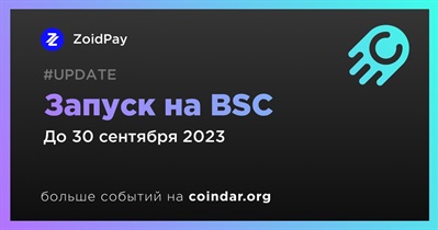 Запуск на BSC