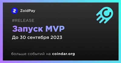 Запуск MVP