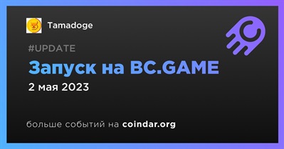 Запуск на BC.GAME