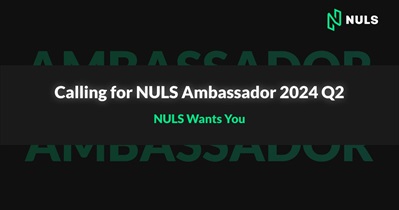 Nuls запускает амбассадорскую кампанию