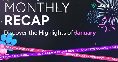 Litentry выпустила ежемесячный отчет за январь