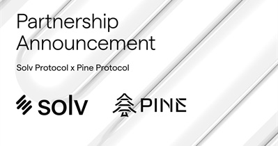 Партнерство с Pine Protocol