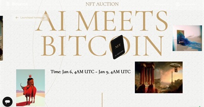 Auction to Release AI Meets Bitcoin NFT Collection