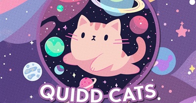 Quidd Cats collection Lansmanı