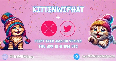 KittenWifHat проведет АМА в X 20 апреля