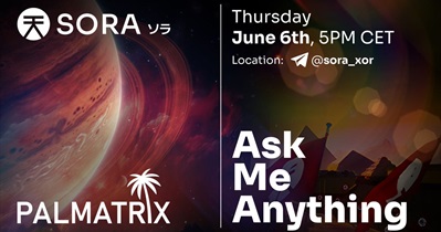 Sora to Hold AMA on Telegram on June 6th