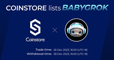 Baby Grok to Be Listed on Coinstore on December 26th