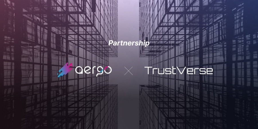 Partnership With Trustverse